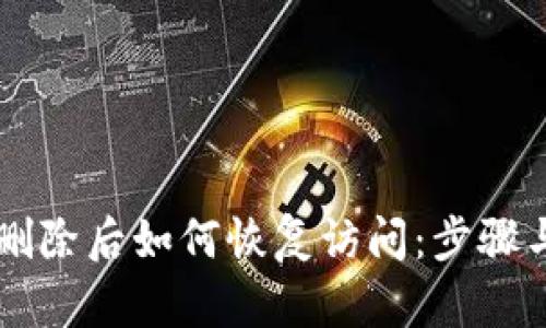 TPWallet删除后如何恢复访问：步骤与解决方案
